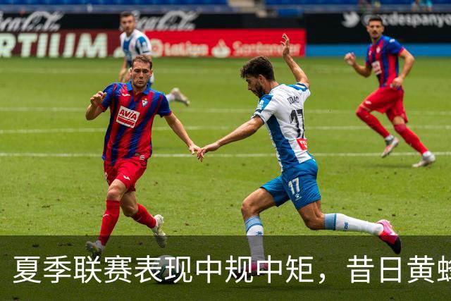 夏季联赛表现中规中矩，昔日黄蜂6号秀新赛季能否重返轮换阵容？