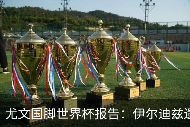 尤文国脚世界杯报告：伊尔迪兹遗憾出局，布雷默枯坐板凳