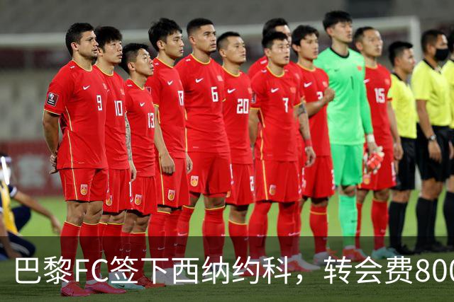 巴黎FC签下西纳约科，转会费800万欧元