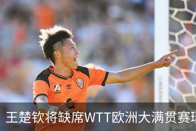 王楚钦将缺席WTT欧洲大满贯赛瑞典站
