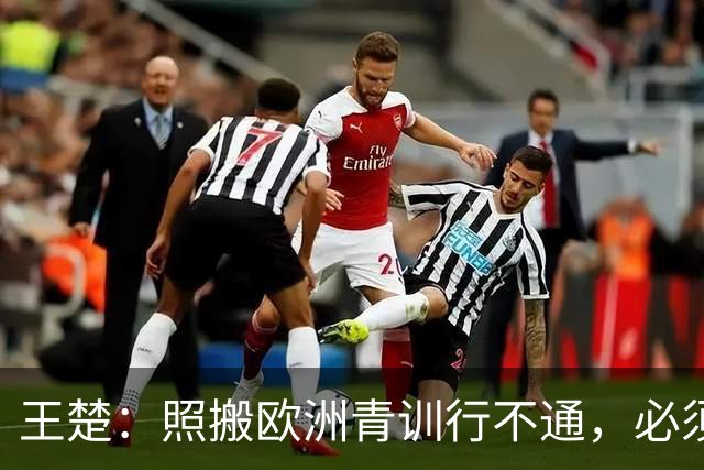 王楚：照搬欧洲青训行不通，必须培养出有自主决策能力的球员